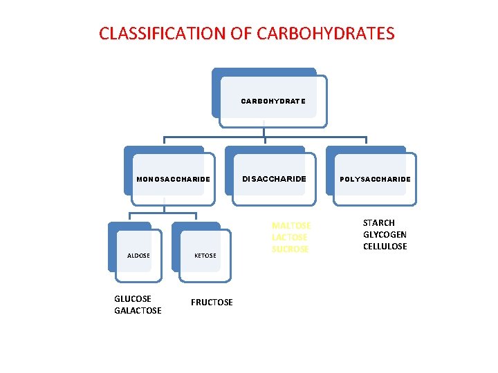 CLASSIFICATION OF CARBOHYDRATES CARBOHYDRATE MONOSACCHARIDE ALDOSE GLUCOSE GALACTOSE KETOSE FRUCTOSE DISACCHARIDE MALTOSE LACTOSE SUCROSE