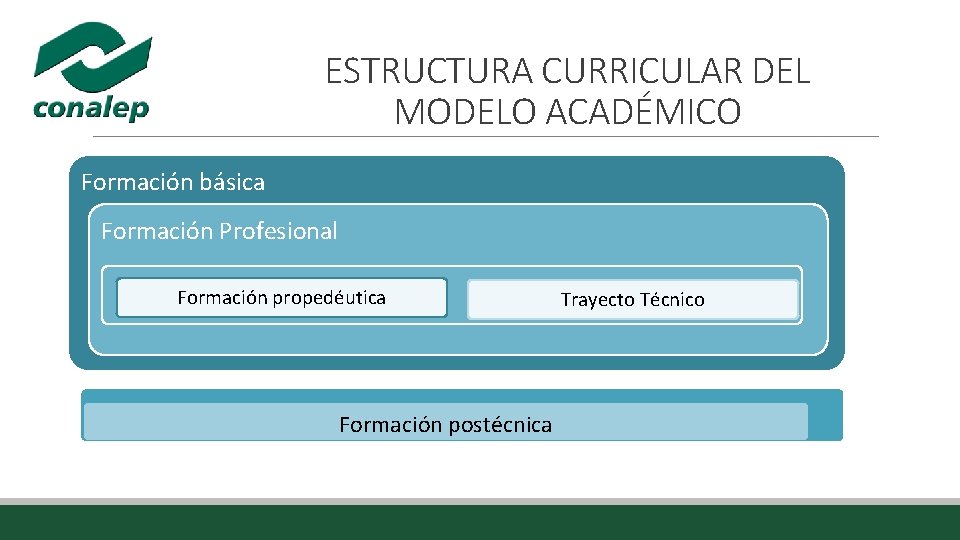 ESTRUCTURA CURRICULAR DEL MODELO ACADÉMICO Formación básica Formación Profesional Formación propedéutica Formación postécnica Trayecto ESTRUCTURA CURRICULAR DEL MODELO ACADÉMICO Formación básica Formación Profesional Formación propedéutica Formación postécnica Trayecto