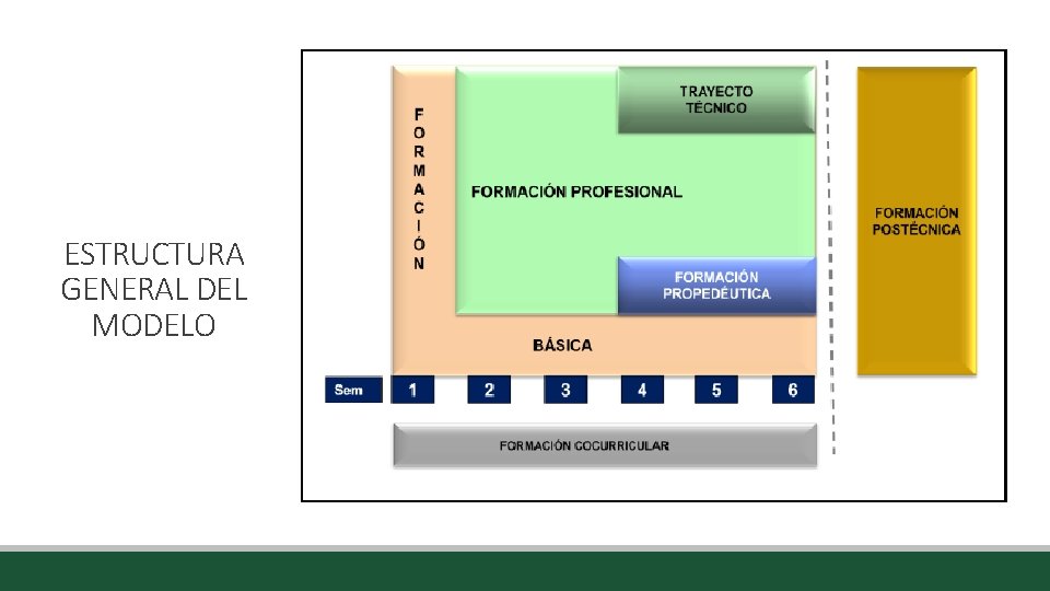 ESTRUCTURA GENERAL DEL MODELO ESTRUCTURA GENERAL DEL MODELO