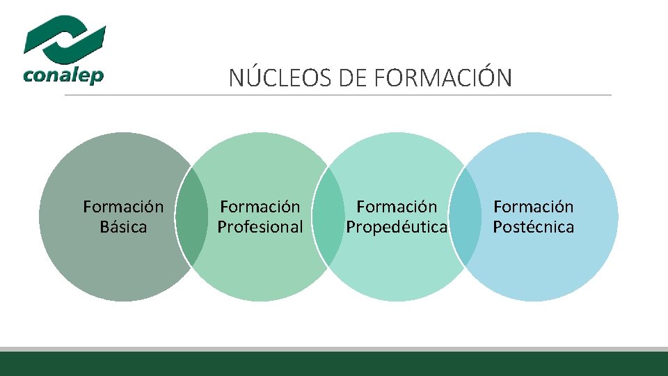 NÚCLEOS DE FORMACIÓN Formación Básica Formación Profesional Formación Propedéutica Formación Postécnica NÚCLEOS DE FORMACIÓN Formación Básica Formación Profesional Formación Propedéutica Formación Postécnica
