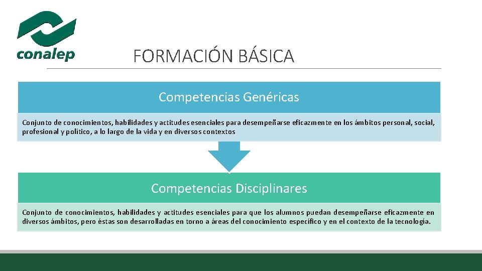 FORMACIÓN BÁSICA Competencias Genéricas Conjunto de conocimientos, habilidades y actitudes esenciales para desempeñarse eficazmente FORMACIÓN BÁSICA Competencias Genéricas Conjunto de conocimientos, habilidades y actitudes esenciales para desempeñarse eficazmente