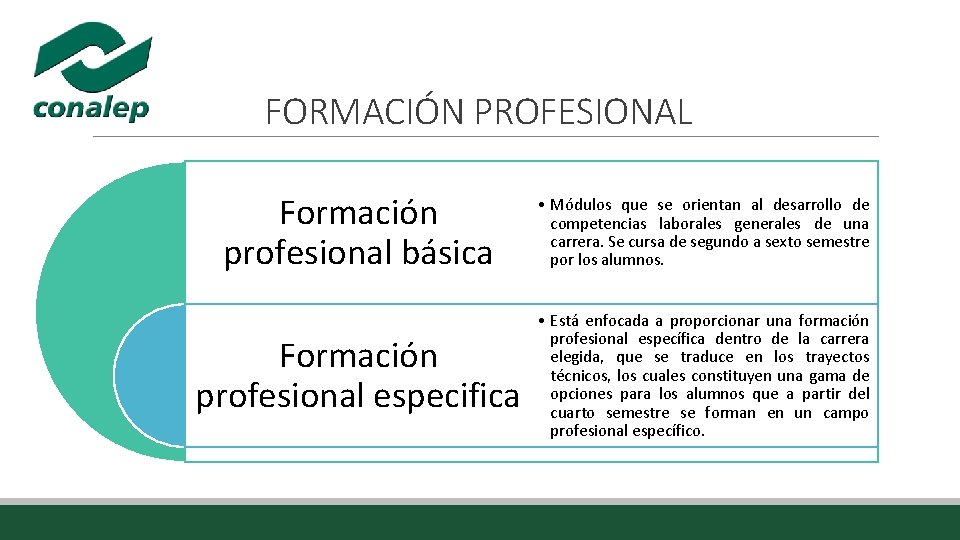 FORMACIÓN PROFESIONAL Formación profesional básica • Módulos que se orientan al desarrollo de competencias FORMACIÓN PROFESIONAL Formación profesional básica • Módulos que se orientan al desarrollo de competencias