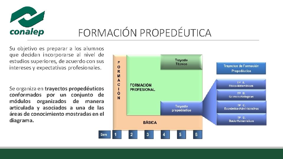FORMACIÓN PROPEDÉUTICA Su objetivo es preparar a los alumnos que decidan incorporarse al nivel FORMACIÓN PROPEDÉUTICA Su objetivo es preparar a los alumnos que decidan incorporarse al nivel