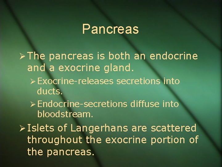 Pancreas Ø The pancreas is both an endocrine and a exocrine gland. Ø Exocrine-releases