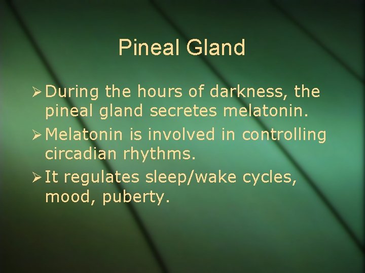 Pineal Gland Ø During the hours of darkness, the pineal gland secretes melatonin. Ø