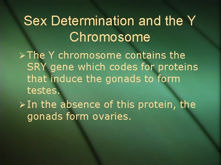 Sex Determination and the Y Chromosome Ø The Y chromosome contains the SRY gene