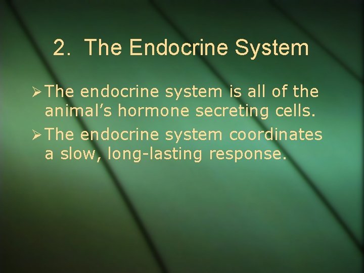 2. The Endocrine System Ø The endocrine system is all of the animal’s hormone