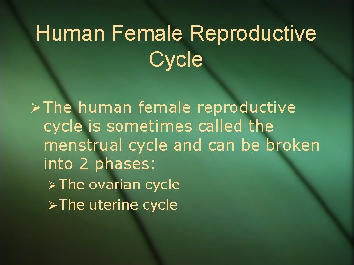 Human Female Reproductive Cycle Ø The human female reproductive cycle is sometimes called the