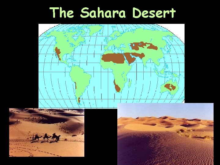 The Sahara Desert 