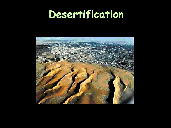 Desertification 