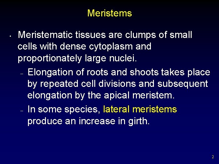 Meristems • Meristematic tissues are clumps of small cells with dense cytoplasm and proportionately