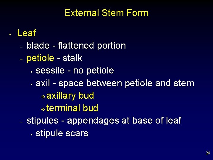 External Stem Form • Leaf – blade - flattened portion – petiole - stalk