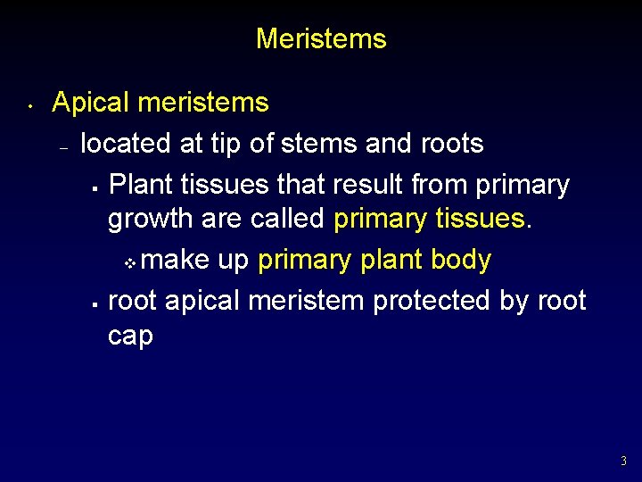 Meristems • Apical meristems – located at tip of stems and roots § Plant