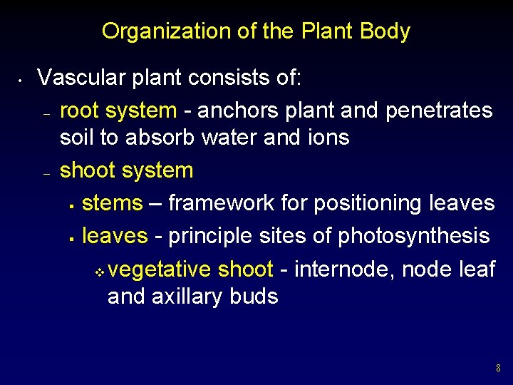 Organization of the Plant Body • Vascular plant consists of: – root system -