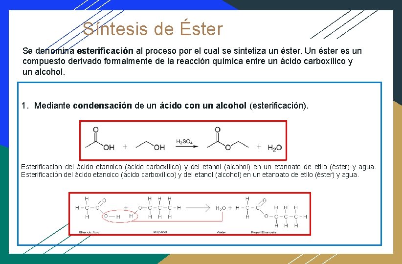 Síntesis de Éster Se denomina esterificación al proceso por el cual se sintetiza un