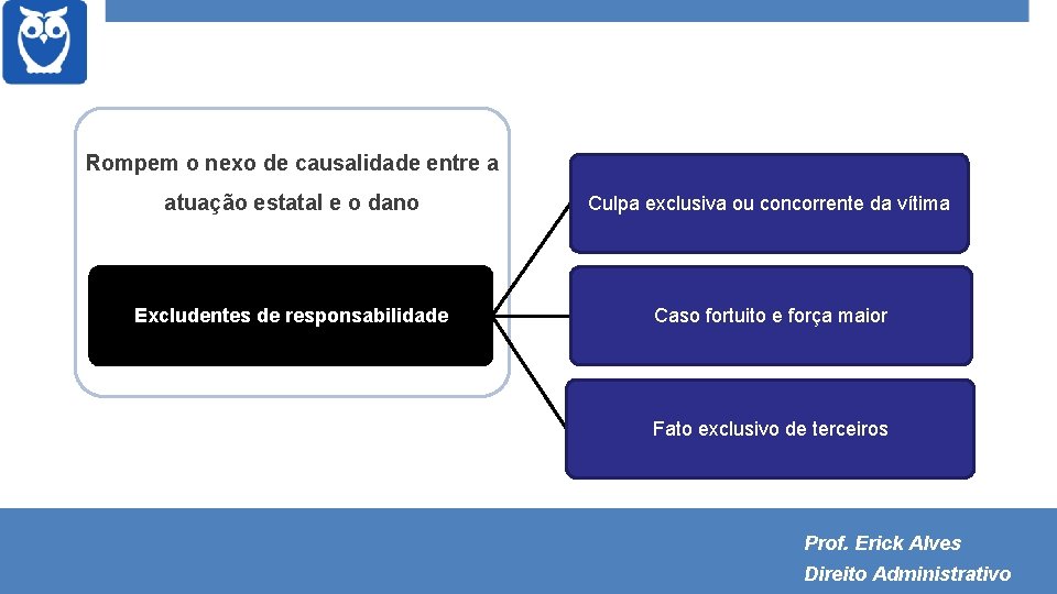 Rompem o nexo de causalidade entre a atuação estatal e o dano Culpa exclusiva