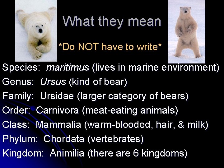 What they mean *Do NOT have to write* Species: maritimus (lives in marine environment)