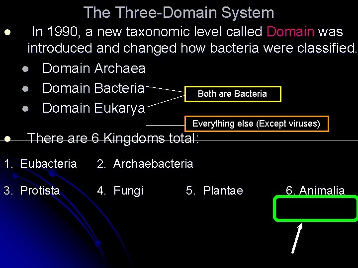 The Three-Domain System l In 1990, a new taxonomic level called Domain was introduced