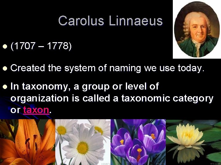 Carolus Linnaeus l (1707 – 1778) l Created the system of naming we use