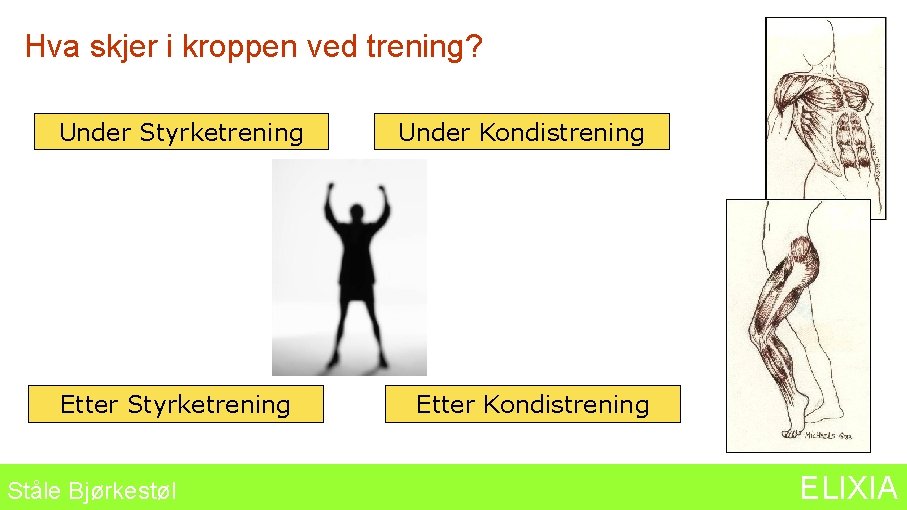 Hva skjer i kroppen ved trening? Under Styrketrening Etter Styrketrening Ståle Bjørkestøl Under Kondistrening