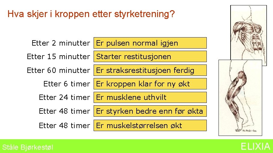 Hva skjer i kroppen etter styrketrening? Etter 2 minutter Er pulsen normal igjen Etter