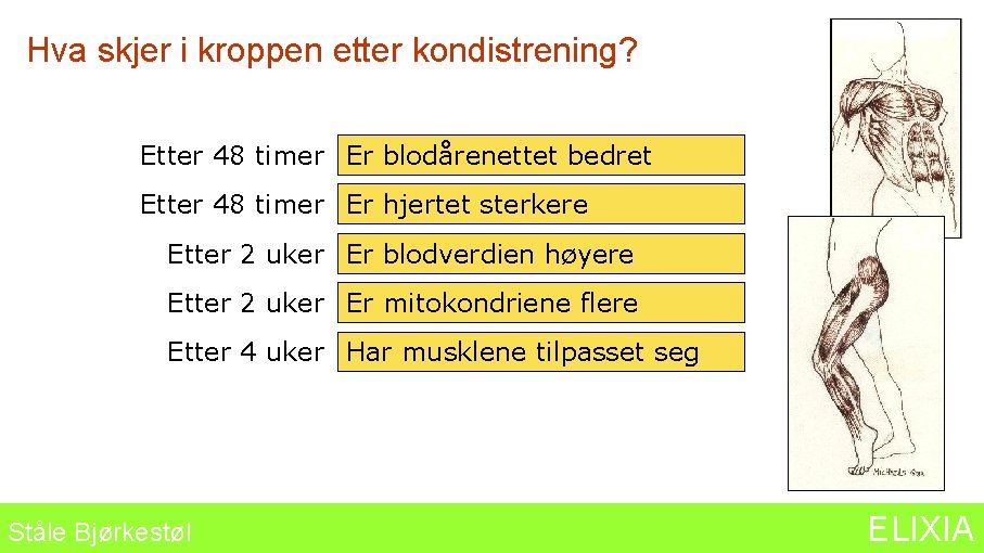 Hva skjer i kroppen etter kondistrening? Etter 48 timer Er blodårenettet bedret Etter 48