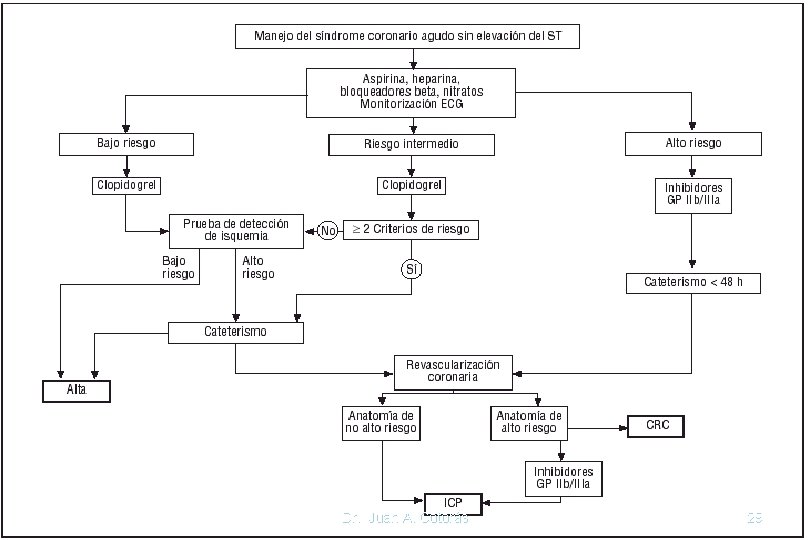 Dr. Juan A. Cotorás 29 