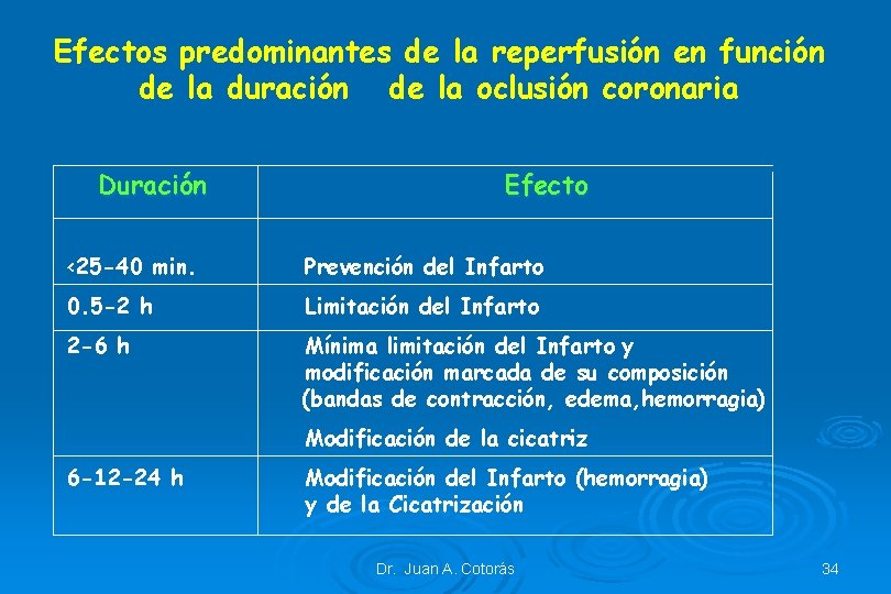 Efectos predominantes de la reperfusión en función de la duración de la oclusión coronaria