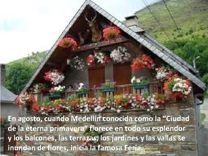 En agosto, cuando Medellín conocida como la “Ciudad de la eterna primavera” florece en