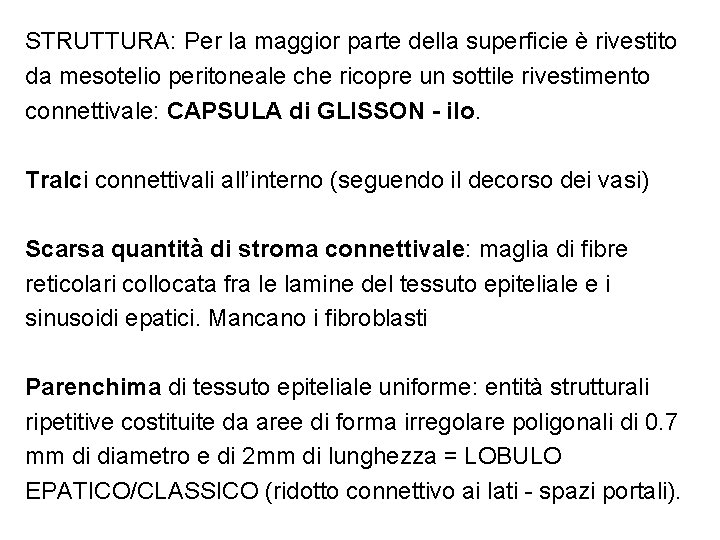 STRUTTURA: Per la maggior parte della superficie è rivestito da mesotelio peritoneale che ricopre