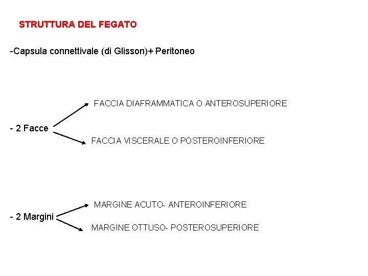 STRUTTURA DEL FEGATO -Capsula connettivale (di Glisson)+ Peritoneo FACCIA DIAFRAMMATICA O ANTEROSUPERIORE - 2