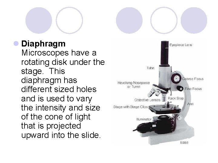 l Diaphragm Microscopes have a rotating disk under the stage. This diaphragm has different l Diaphragm Microscopes have a rotating disk under the stage. This diaphragm has different