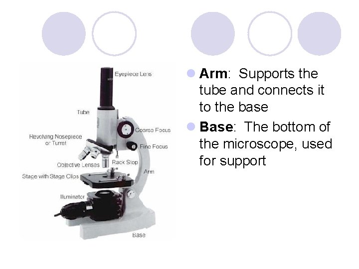 l Arm: Supports the tube and connects it to the base l Base: The l Arm: Supports the tube and connects it to the base l Base: The