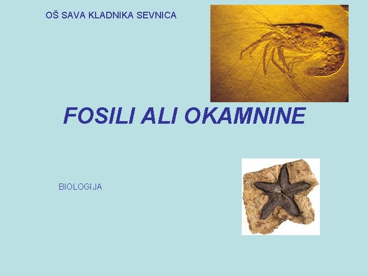 OŠ SAVA KLADNIKA SEVNICA FOSILI ALI OKAMNINE BIOLOGIJA 