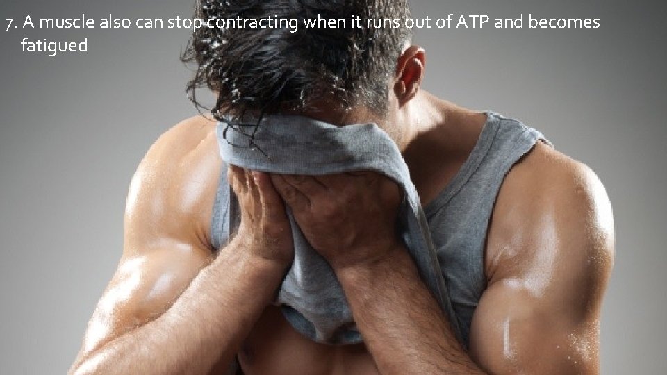 7. A muscle also can stop contracting when it runs out of ATP and