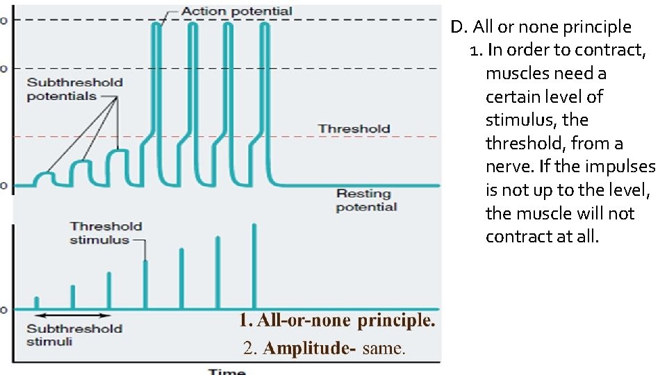 D. All or none principle 1. In order to contract, muscles need a certain