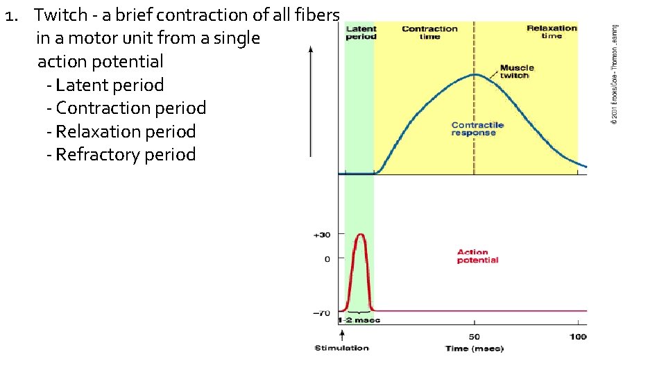 1. Twitch - a brief contraction of all fibers in a motor unit from