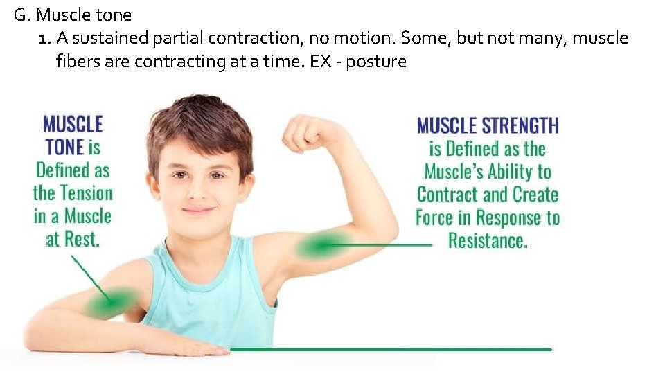 G. Muscle tone 1. A sustained partial contraction, no motion. Some, but not many,