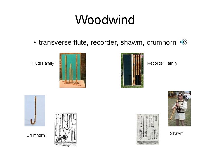 Woodwind • transverse flute, recorder, shawm, crumhorn Flute Family Crumhorn Recorder Family Shawm 