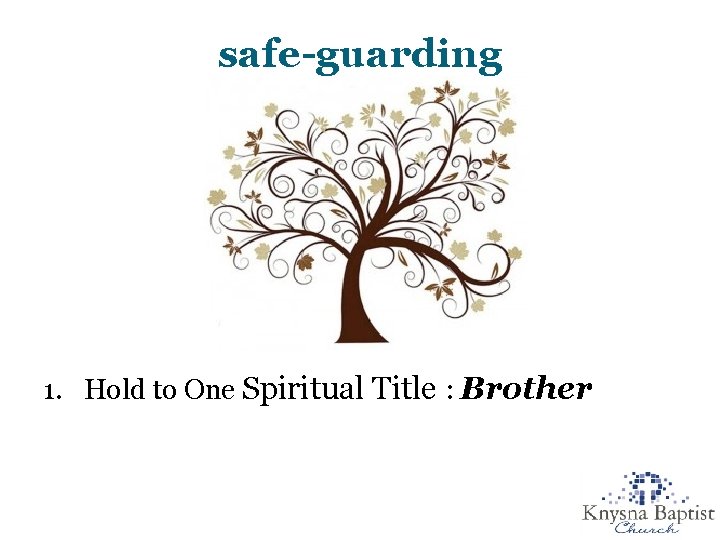 safe-guarding 1. Hold to One Spiritual Title : Brother 