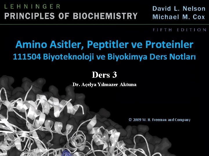 Amino Asitler, Peptitler ve Proteinler 111504 Biyoteknoloji ve Biyokimya Ders Notları Ders 3 Dr.