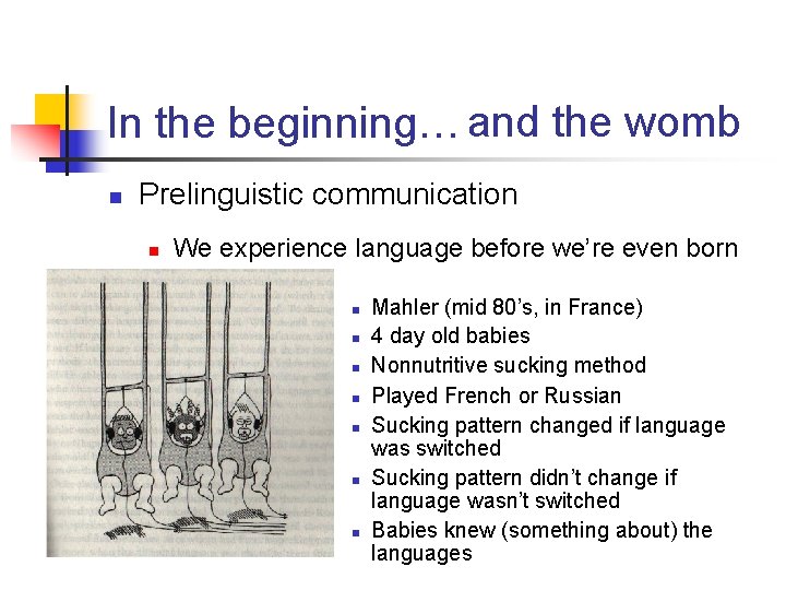 In the beginning… and the womb n Prelinguistic communication n We experience language before