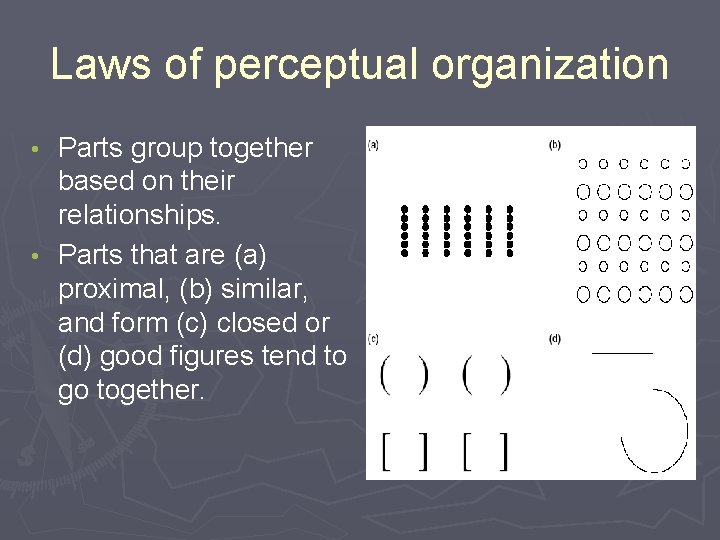 Laws of perceptual organization Parts group together based on their relationships. • Parts that Laws of perceptual organization Parts group together based on their relationships. • Parts that