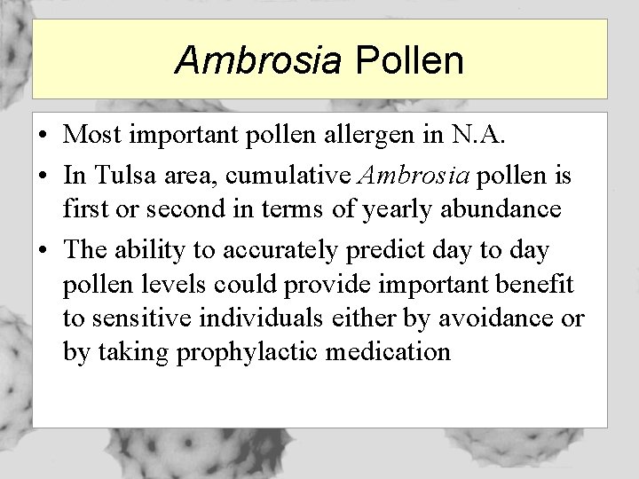 Ambrosia Pollen • Most important pollen allergen in N. A. • In Tulsa area,