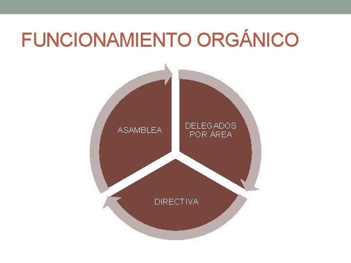 FUNCIONAMIENTO ORGÁNICO ASAMBLEA DELEGADOS POR ÁREA DIRECTIVA FUNCIONAMIENTO ORGÁNICO ASAMBLEA DELEGADOS POR ÁREA DIRECTIVA