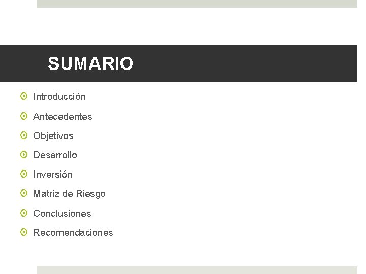 SUMARIO Introducción Antecedentes Objetivos Desarrollo Inversión Matriz de Riesgo Conclusiones Recomendaciones 