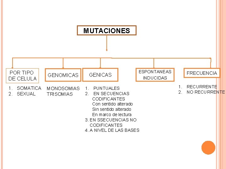 MUTACIONES POR TIPO DE CELULA GENOMICAS 1. SOMATICA 2. SEXUAL MONOSOMIAS TRISOMIAS GENICAS 1.