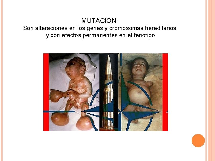 MUTACION: Son alteraciones en los genes y cromosomas hereditarios y con efectos permanentes en