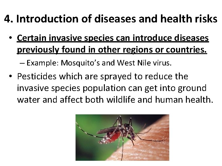 4. Introduction of diseases and health risks • Certain invasive species can introduce diseases