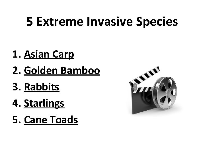 5 Extreme Invasive Species 1. Asian Carp 2. Golden Bamboo 3. Rabbits 4. Starlings